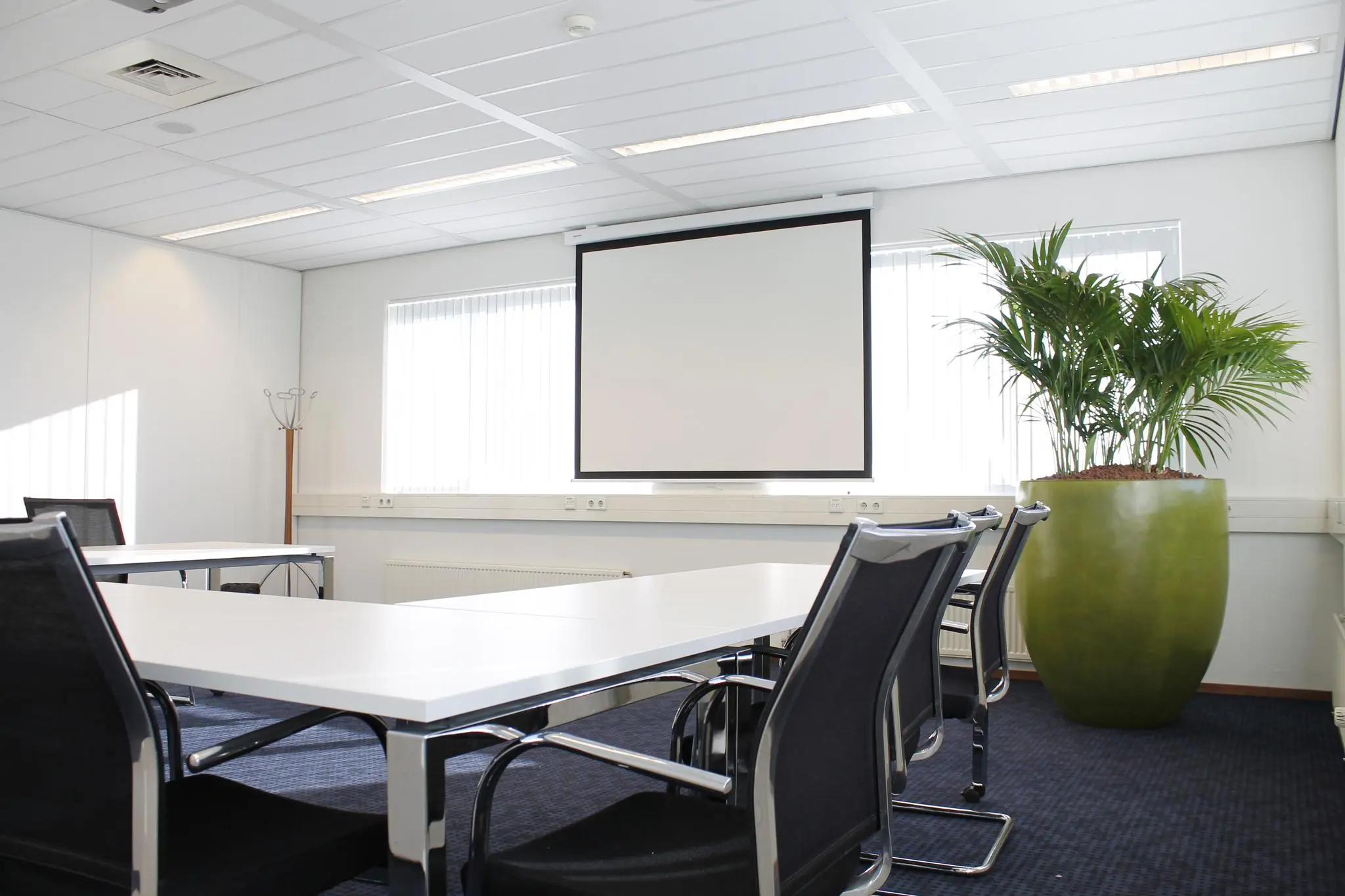 Vergaderruimte aan de Laan van ’s-Gravenmade met moderne stoelen, een groot projectiescherm en een grote groene plant.